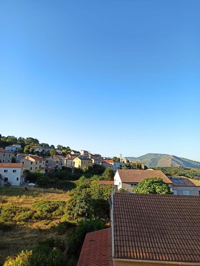 Chez Laurette Murato Daire Dış mekan fotoğraf