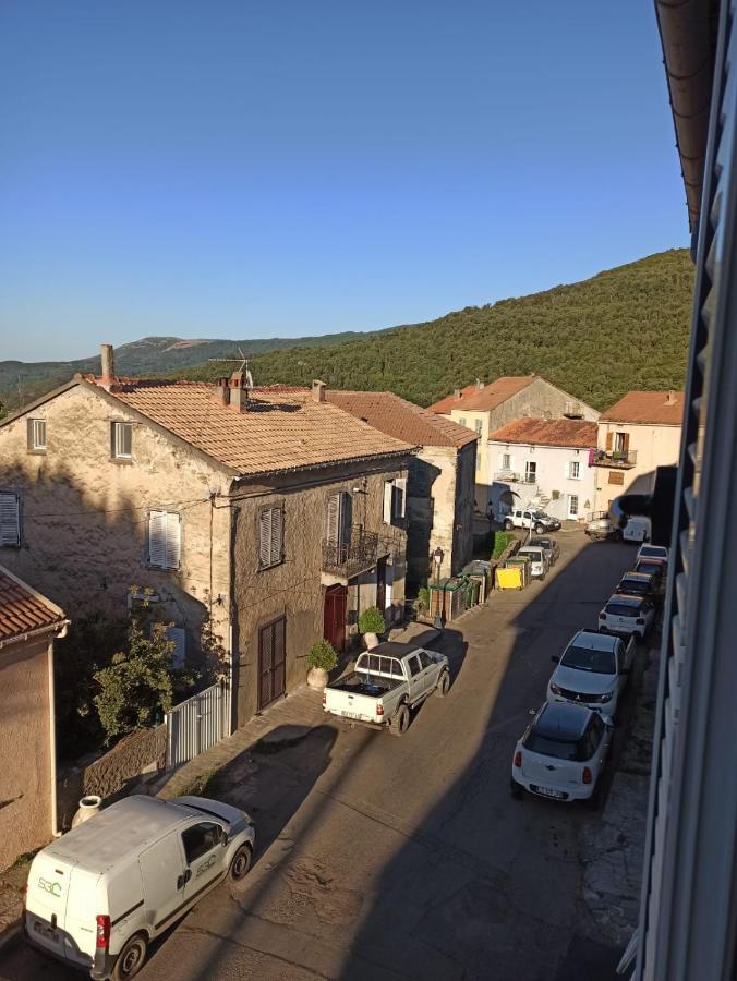 Chez Laurette Murato Daire Dış mekan fotoğraf