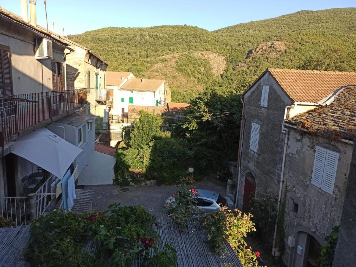 Chez Laurette Murato Daire Dış mekan fotoğraf